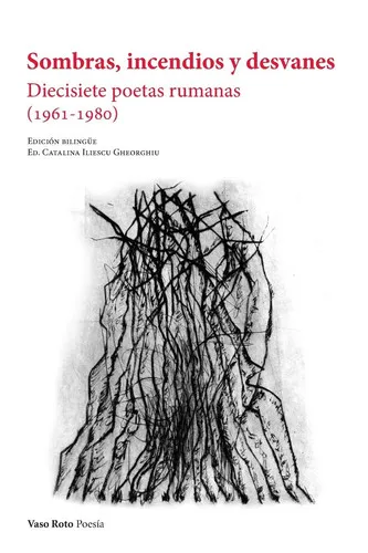 Portada de Sombras, incendios y desvanes
